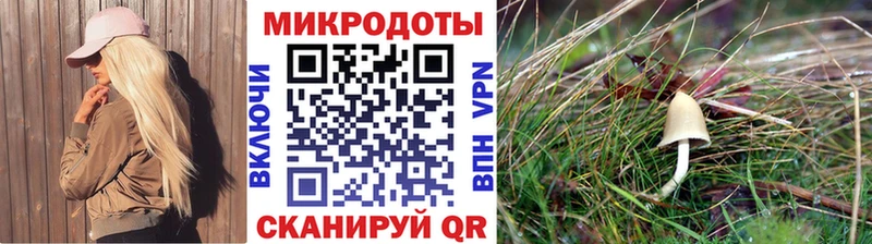Галлюциногенные грибы мухоморы  Красный Холм 